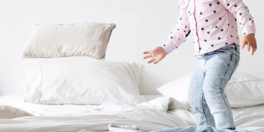 The Hidden Truth About Dust Mites